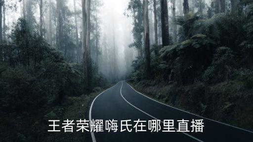 王者榮耀嗨氏在哪里直播