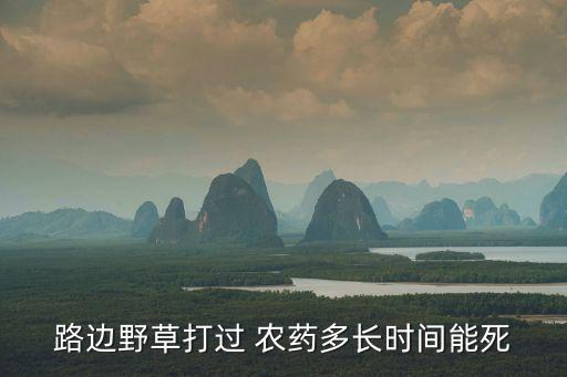 用什么農藥草死的快點,什么農藥什么草都藥死