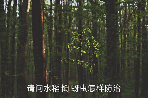 請(qǐng)問水稻長(zhǎng) 蚜蟲怎樣防治
