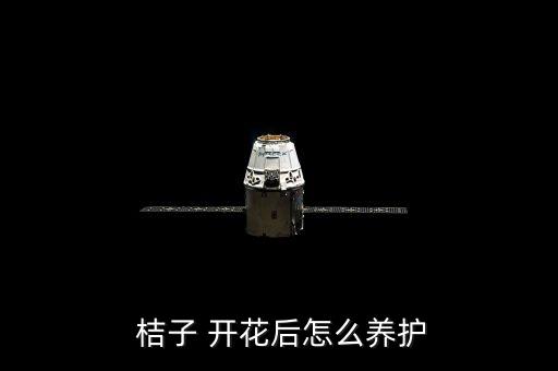  桔子 開花后怎么養護