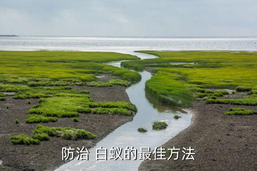 防治 白蟻的最佳方法
