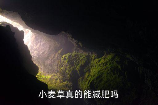 麥青打什么農(nóng)藥,西瓜一般打什么農(nóng)藥