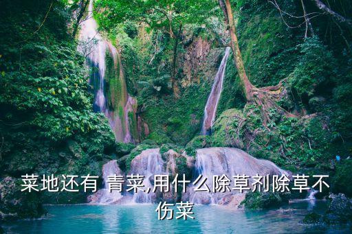 青菜用什么農(nóng)藥長得快,青菜打什么農(nóng)藥效果好