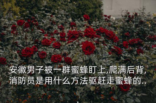 殺野蜂要用什么農藥
