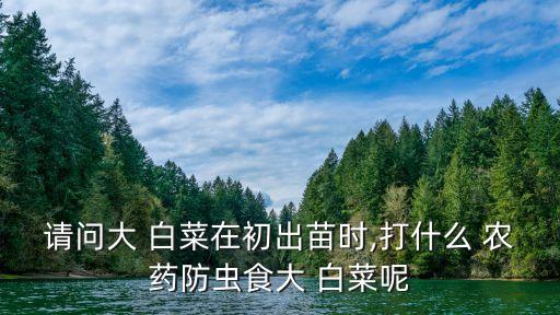 請問大 白菜在初出苗時,打什么 農藥防蟲食大 白菜呢