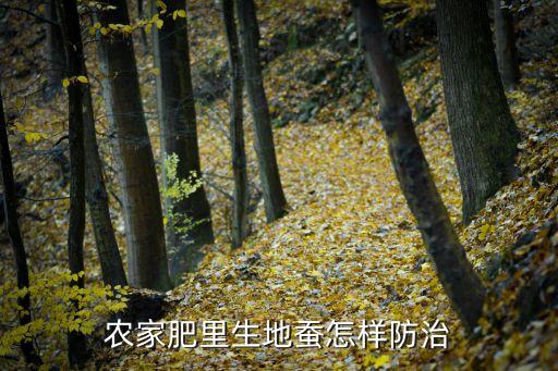 有什么農藥可以殺死土蟬,什么農藥能大量殺死蒼蠅