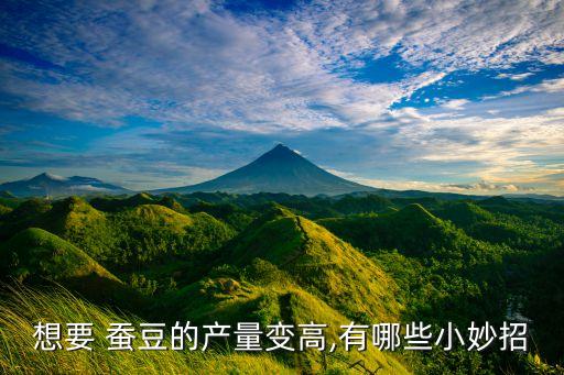 想要 蠶豆的產量變高,有哪些小妙招