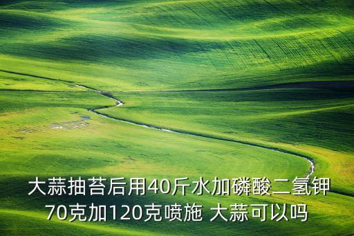  大蒜抽苔后用40斤水加磷酸二氫鉀70克加120克噴施 大蒜可以嗎