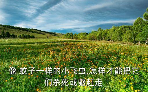 什么農藥能治蚊子幼蟲,大面積滅蚊子用什么農藥