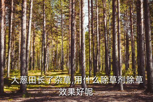 大蔥放什么農藥,大蔥生蟲用什么農藥最有效