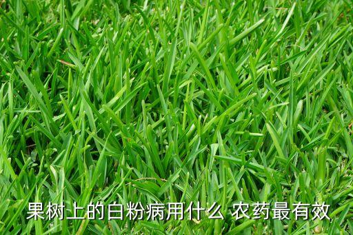 什么農藥噴施果樹好用呢,噴施農藥屬于什么防治