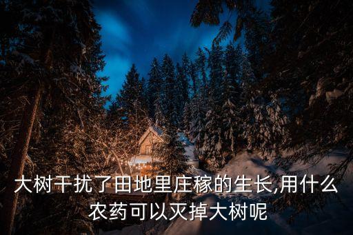 什么農(nóng)藥能打死各種樹果,艾草用什么農(nóng)藥打死