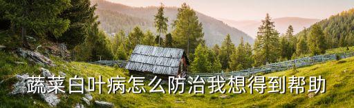 青菜白粉病用什么農藥,白粉病用什么農藥效果好