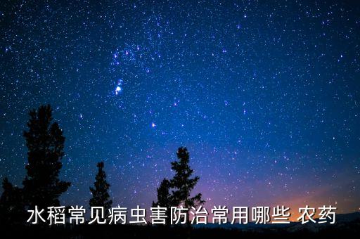 水稻前期噴什么農(nóng)藥好使,水稻最后一次打什么農(nóng)藥
