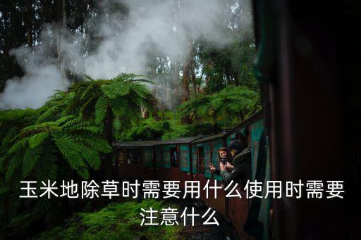 玉米使用什么機械打農藥,碼頭起玉米的機械有什么