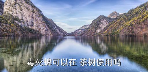 毒死蜱可以在 茶樹使用嗎