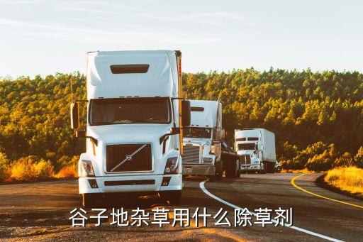 雜稻用什么農藥,什么農藥無色無味
