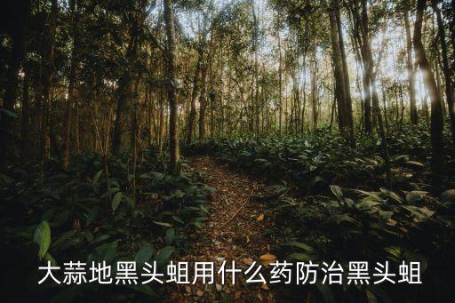  大蒜地黑頭蛆用什么藥防治黑頭蛆
