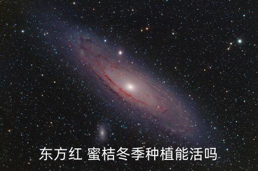 蜜桔噴什么農(nóng)藥好