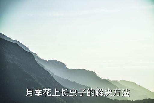 月季大飛蟲用什么農(nóng)藥,殺小飛蟲用什么農(nóng)藥