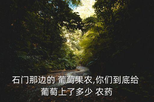石門那邊的 葡萄果農(nóng),你們到底給 葡萄上了多少 農(nóng)藥