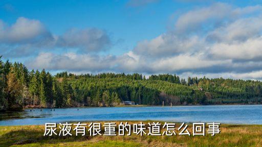為什么尿液有農(nóng)藥的味,尿液為什么會(huì)有騷味