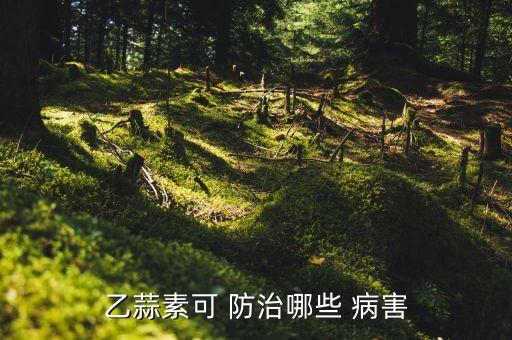 農藥可以防治什么病害呢,防治蔬菜細菌病害農藥