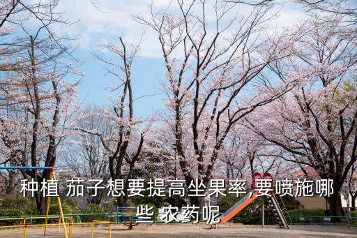 種植 茄子想要提高坐果率,要噴施哪些 農(nóng)藥呢