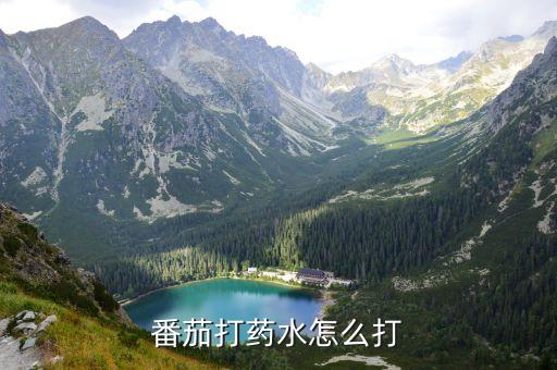 番茄打藥水怎么打