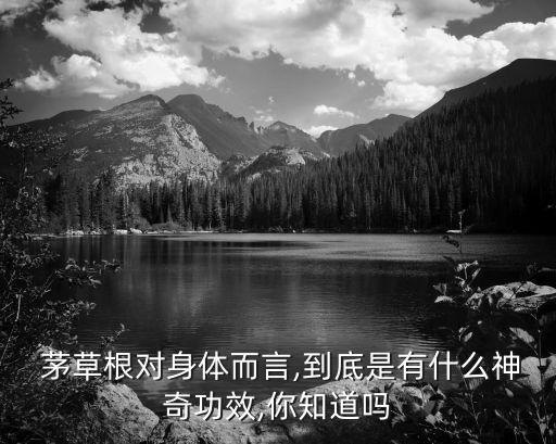  茅草根對身體而言,到底是有什么神奇功效,你知道嗎