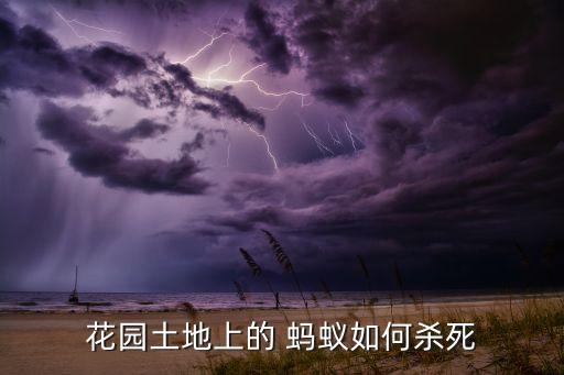 室外除螞蟻用什么農藥,地里有很多螞蟻用什么農藥