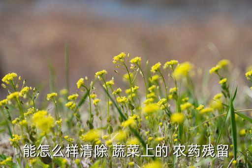 用什么去除蔬菜農(nóng)藥最好,鹽水能去除蔬菜表面的農(nóng)藥嗎