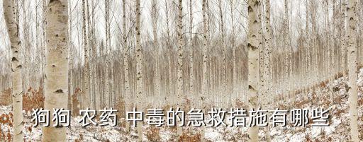 狗狗 農藥 中毒的急救措施有哪些