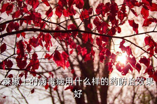 辣椒上的病毒病用什么樣的藥防治效果好