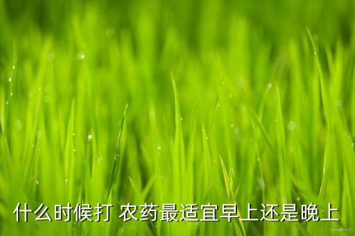 什么時候打 農藥最適宜早上還是晚上