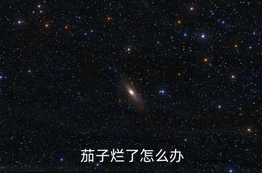  茄子爛了怎么辦