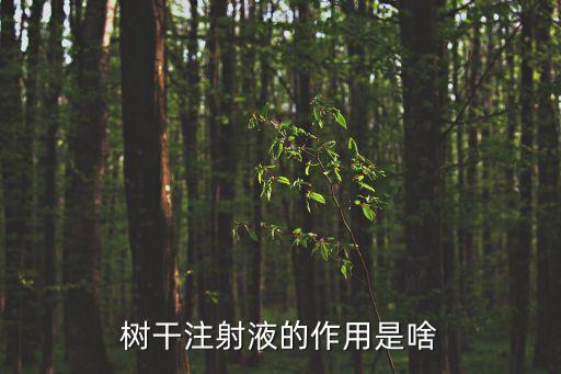 樹干注射液的作用是啥