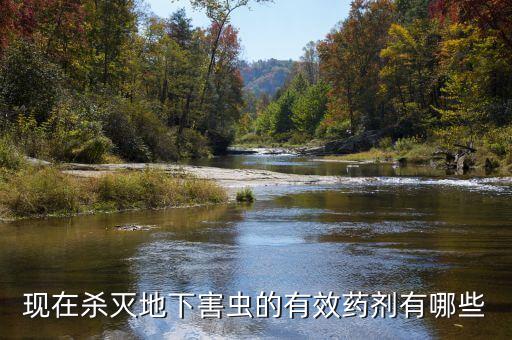 現(xiàn)在殺滅地下害蟲的有效藥劑有哪些