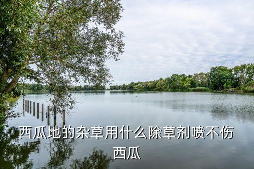 西瓜都噴什么農藥了,西瓜蟲用什么農藥比較好