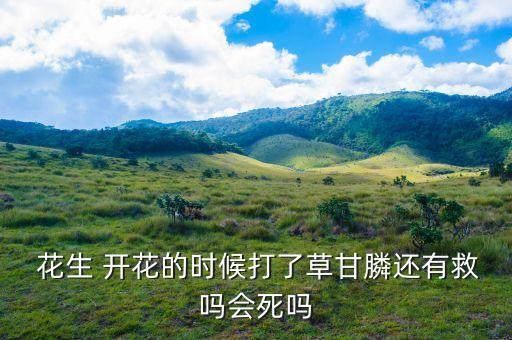 花生開花后打什么農藥,花生通過開花什么什么結果