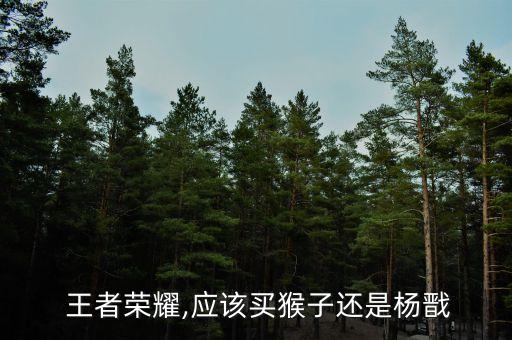  王者榮耀,應該買猴子還是楊戩