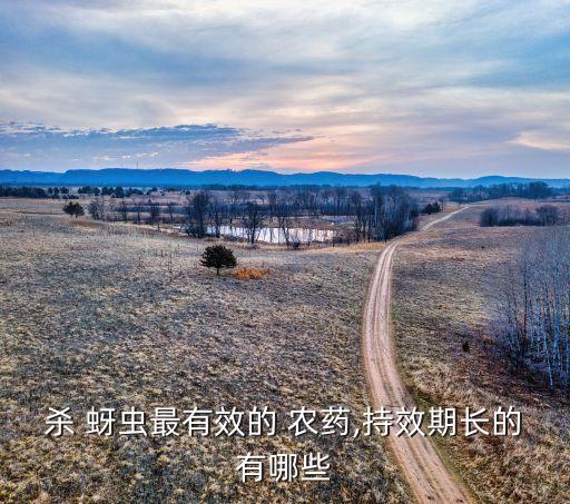 殺 蚜蟲最有效的 農藥,持效期長的有哪些