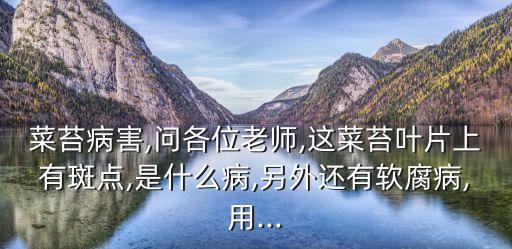什么農藥打菜苔不長,殺青菜蟲用什么農藥