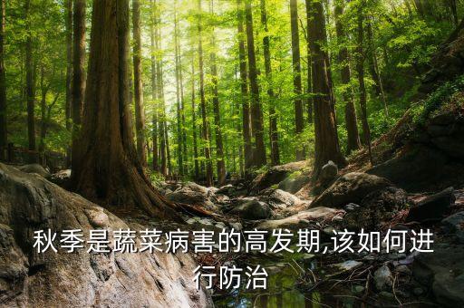 秋季是蔬菜病害的高發期,該如何進行防治
