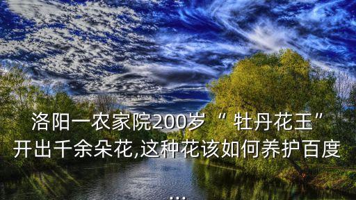 黃春牡丹種植什么農(nóng)藥