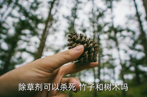 竹子有什么農藥能打死,殺除竹子用什么農藥