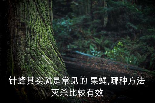 什么農(nóng)藥可以殺果蠅,殺果蠅用什么殺蟲劑