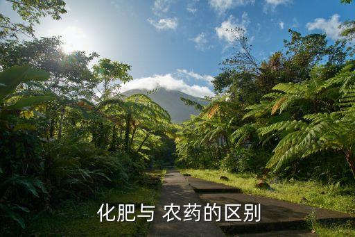 農藥化肥是什么做的,購買農藥化肥怎樣做分錄