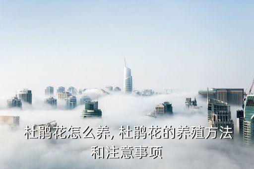  杜鵑花怎么養, 杜鵑花的養殖方法和注意事項