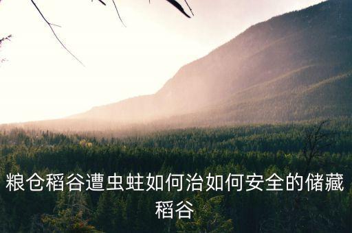 糧食蛀蟲什么農藥殺